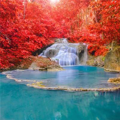 亿博app官网首页